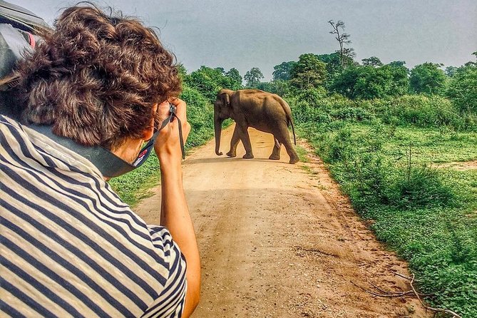 Sri Lanka tour itinerary . 6N/7D with driver, vehicle and H/B accommodations - Day 2: Three hours among Polonnaruwa’s ruins