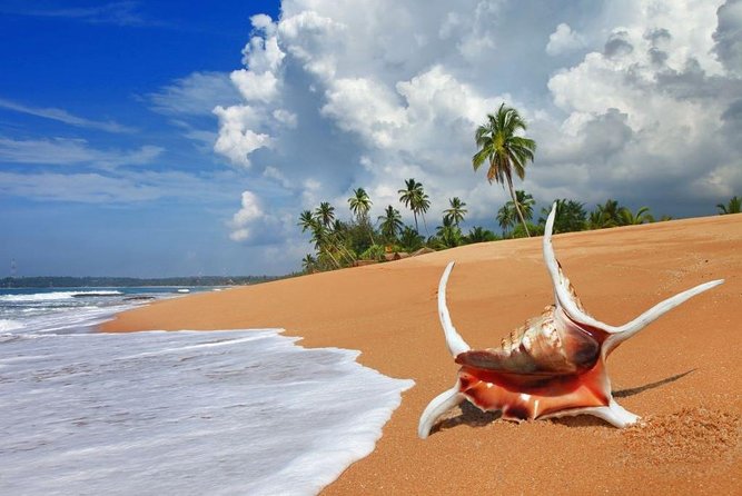 Sri Lanka tour itinerary . 6N/7D with driver, vehicle and H/B accommodations - Day 7: Mirissa Beach before the airport