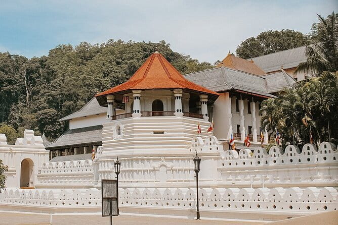 Sri Lanka Tour Plan - 14 Days - Private Transport And Hotel - Days 6 and 7: Waterfalls, tea, and the famous hill train
