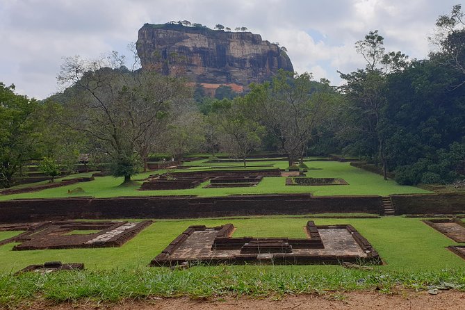 Sri Lanka tours 12-Day wildlife Tour with driver,Car or Van and accommodations - Day 1: Negombo fish market and an easy arrival