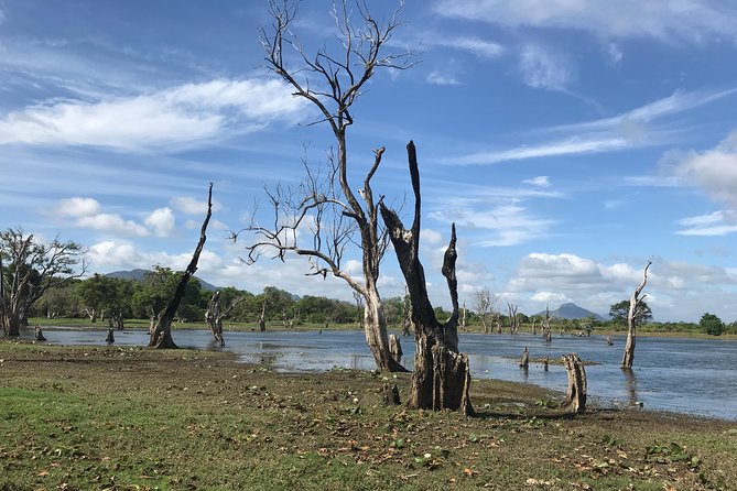 Sri Lanka tours 12-Day wildlife Tour with driver,Car or Van and accommodations - Day 6: Gregory Lake, the train to Ella, and Little Adam’s Peak