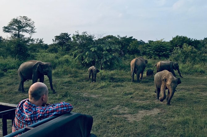 Sri Lanka Wild Life Uniqe Safari 26 - Key points at a glance