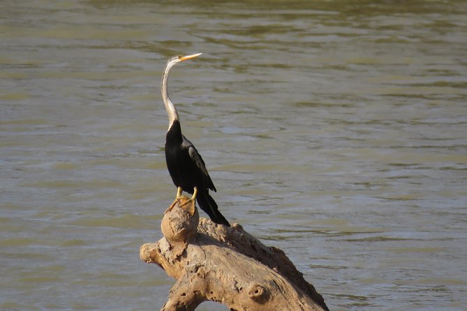 Super Luxury Jeep Safari at Yala National Park - What is included for the $77 price