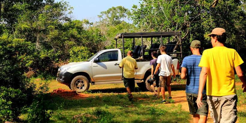 Tangalle/Hiriketiya: Udawalawa Safari & Elephant Transit Hom - Key points to know before booking