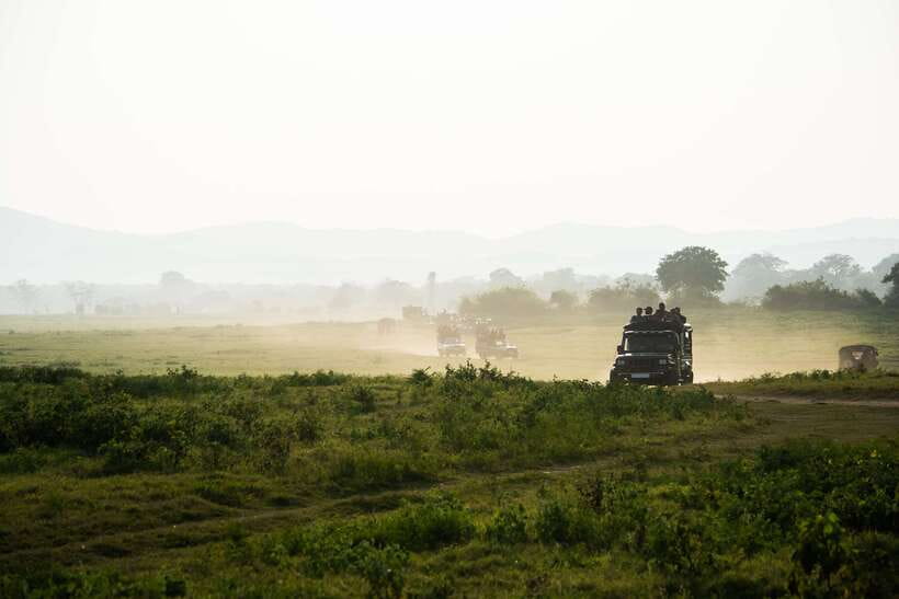 Tangalle/Hiriketiya: Yala National Park Safari in a 4x4 - Key points to know before booking