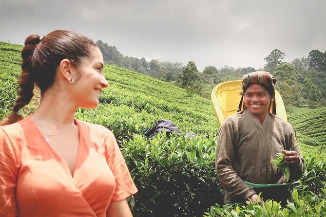 Tea Fields & Factory Tour - Why this Hatton tea tour feels different