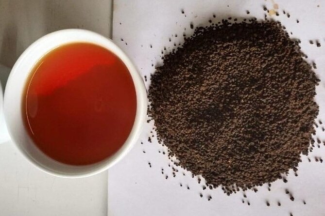 Tea Fields & Factory Tour - Finishing with freshly brewed tea