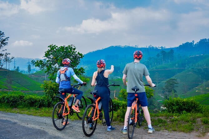Tea Loops E-Biking - Why an e-bike works so well in Sri Lanka’s tea hills