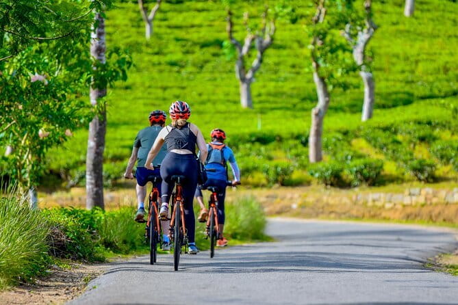 Tea Loops E-Biking - Who should book this ride