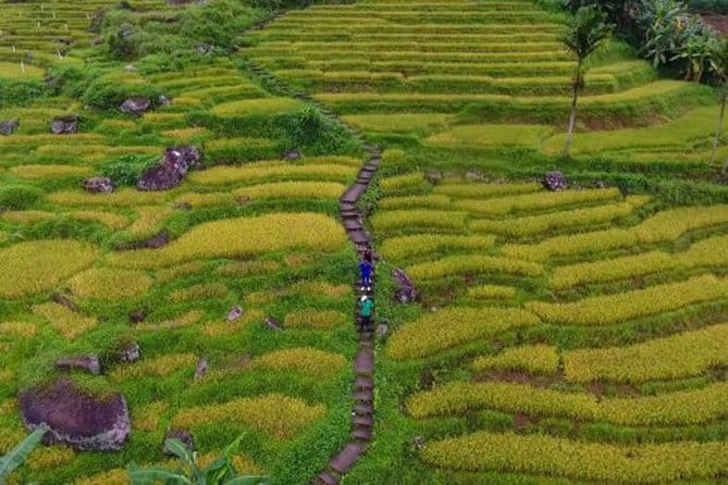 Tea Loops E-Biking - Should you book Tea Loops E-Biking?