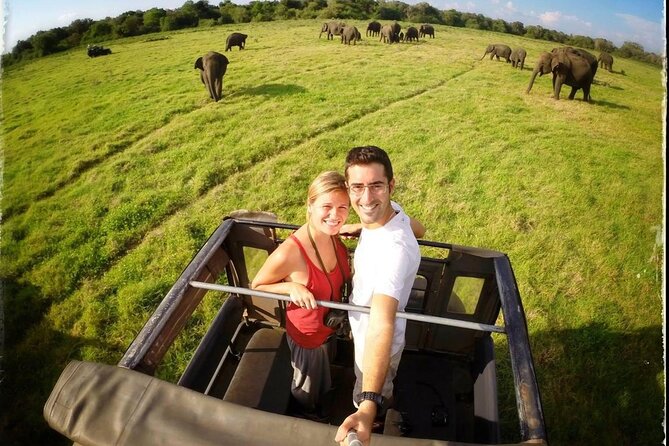 Ten Days Scenic Sri Lanka - Dambulla, Polonnaruwa, and Minneriya Set the Tone