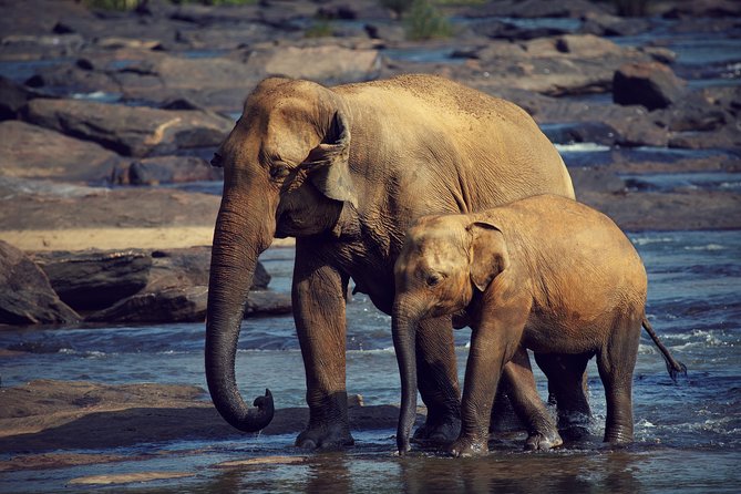 The Most popular Personalized round Tour In Sri Lanka-Day Charged - Day six: Bentota, another river trip, and Galle Fort