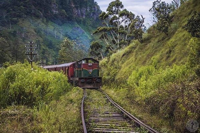 The Most Recommended Round Tour in Sri Lanka - Tea country arrives at Damro and Ramboda
