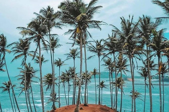 The Most Recommended Round Tour in Sri Lanka - The Nanu Oya to Ella train is the schedule’s big gamble