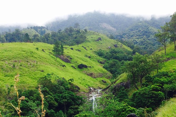 The Most Recommended Round Tour in Sri Lanka - Ella combines a bridge walk with an easy hill climb