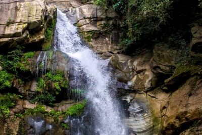 The World`s Most Beautiful Train Trip Kandy to Ella Private Day Tour