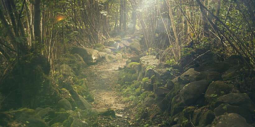 Thrills of Kitulgala - Is $185 good value from Kandy?