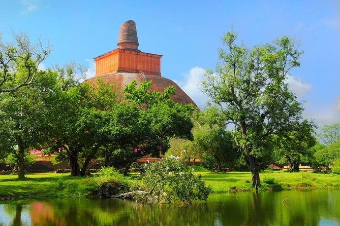 Tour Packages in Sri Lanka - Most Popular Round Tour - All in One Tour - Days 2 and 3: Sigiriya, Polonnaruwa, and Minneriya’s elephants