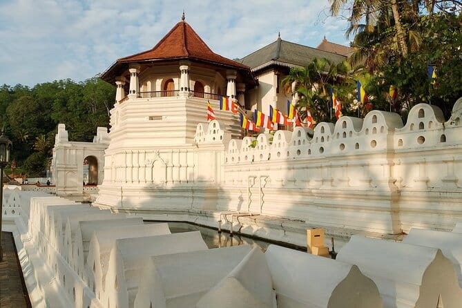 Tour to Dambulla Cave, Sigiriya and Pidurangala Rock from Kandy - Pidurangala Rock and the view back to Sigiriya
