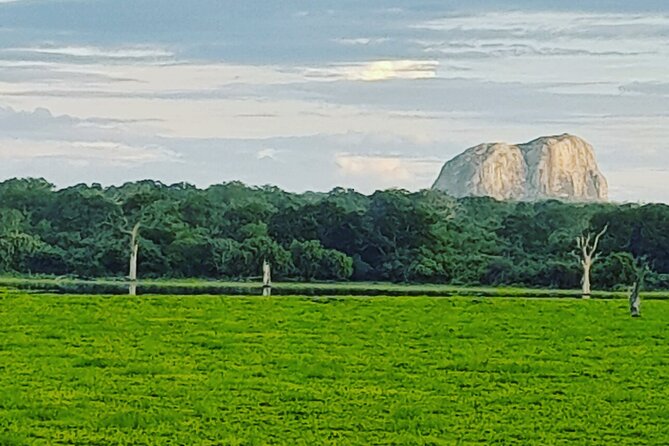 Tours and Transportation in Sri Lanka - Who will get the most value