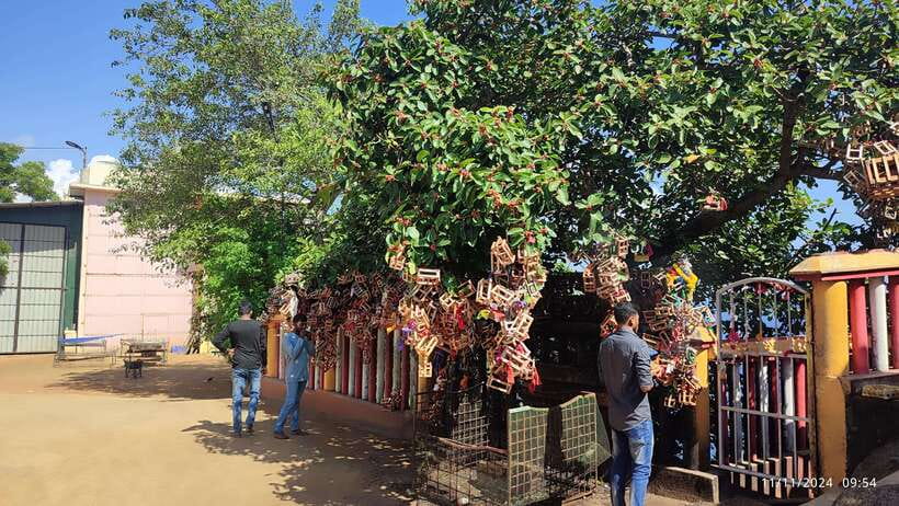 Trincomalee: City Tour with Koneswarm and Crocodile lake - Gokkanna Buddhist Temple and Kanniyai Hot Water Springs