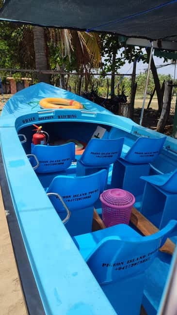 Trincomalee: Dolphin & Whale Watching Boat Tour - Getting aboard with the basic essentials