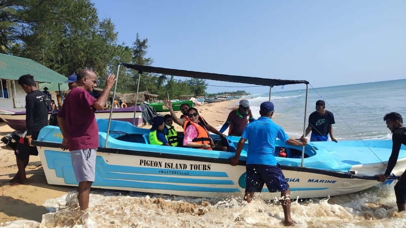 Trincomalee: Dolphin & Whale Watching Boat Tour - A practical way to book this experience