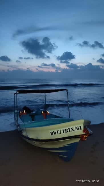 Trincomalee: Dolphin & Whale Watching Boat Tour - Should you book the Trincomalee dolphin and whale tour?