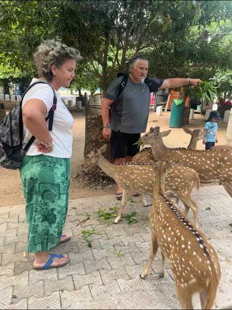 Trincomalee: Tuk-Tuk city tour with a guide - Sunset views and the timing question