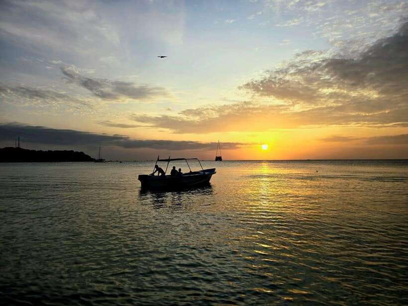 Trincomalee : Whale & dolphin watching +pigeon island tour - Key points at a glance