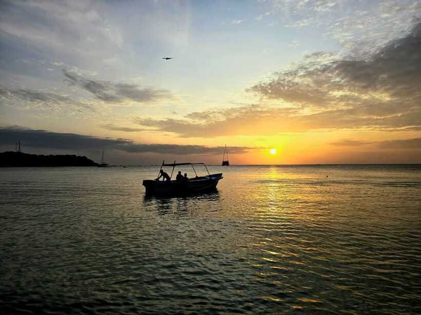 Trincomalee : Whale & dolphin watching +pigeon island tour - Pigeon Island brings the quieter half