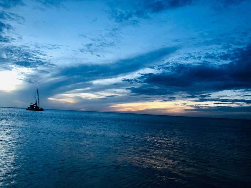 Trincomalee : Whale & dolphin watching +pigeon island tour - Guide communication and the feel of a small group