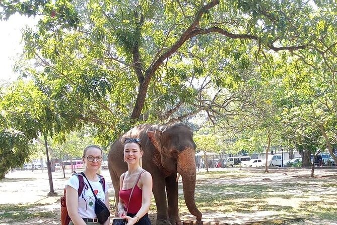 Tuk Tuk Private Tour Exploring Sri Lanka Capital of Colombo - The Lotus Tower and Colombo’s Hindu temples