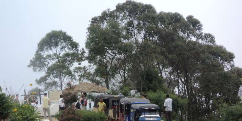 Tuk-Tuk Safari Liptons seat,Tea Fields Hike,TeaFactory Tour - Who will enjoy this seven-hour outing