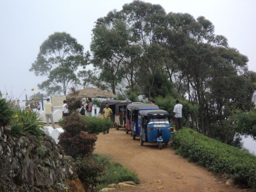 Tuk-Tuk Safari Liptons seat,Tea Fields Hike,TeaFactory Tour - Handling rain, clouds, and changing plans