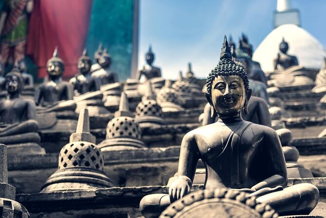Tuk Tuk Tours From Colombo Port Passenger Dock Shore Excursions. - Key points to know before you book