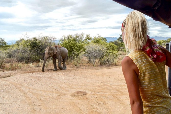 UDAWALAWA National Park ALL INCLUSIVE Tour with PICK UP INCLUDED - Why Udawalawe works so well for a first safari