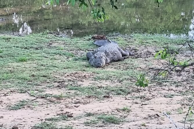 Udawalawa National Park Day Tour - The timing issue you should not ignore