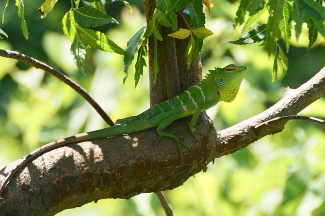 Udawalawa National Park half day Safari - Who should book this safari?