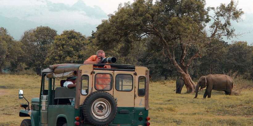 Udawalawa National Park: Private Safari - Smaller animals and serious bird-watching