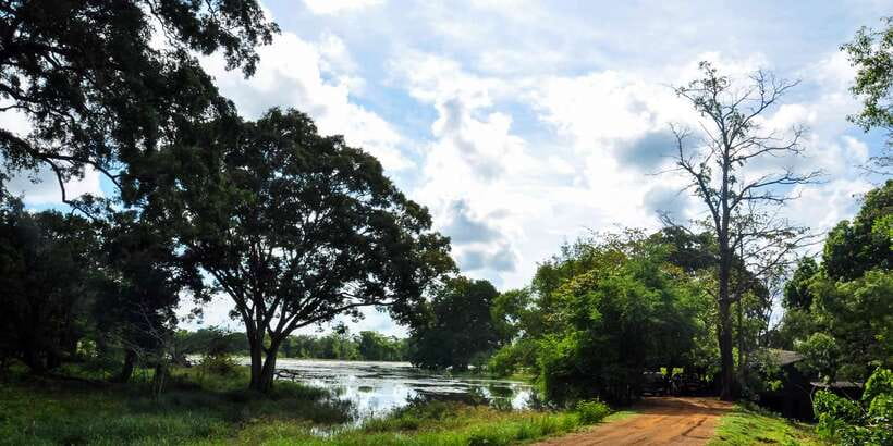 Udawalawa National Park: Private Safari - What the private format really gives you