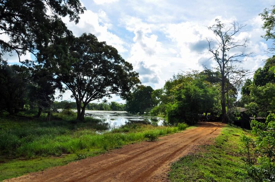 Udawalawa National Park: Private Safari - How to prepare for the jeep