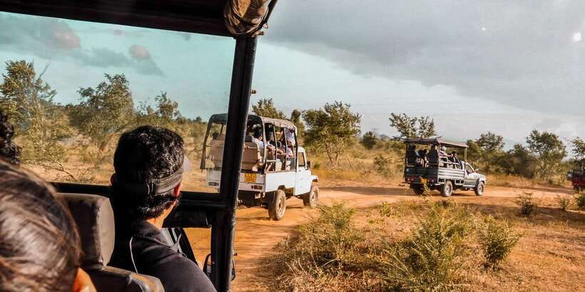 Udawalawa National Park: Private Safari - Your three-hour route through the park