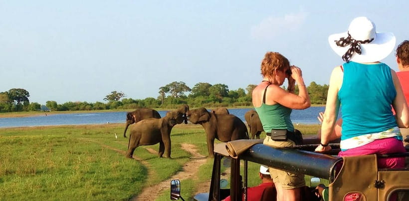 Udawalawa National Park Safari Tour with Experienced Guides - Who will enjoy this safari most