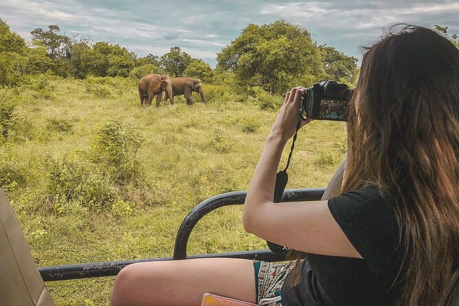 Udawalawa Safari Drive From Galle, Weligama, Mirissa & Dickwella - The 5 AM hotel pickup