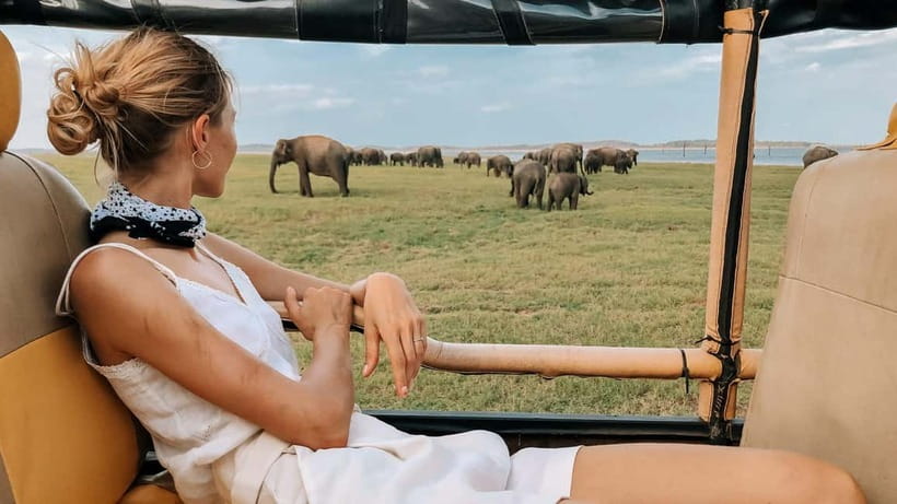 UDAWALAWA SAFARI TOUR from HAMBANTOTA PORT (Shore Excursion) - Wildlife sightings and the role of weather