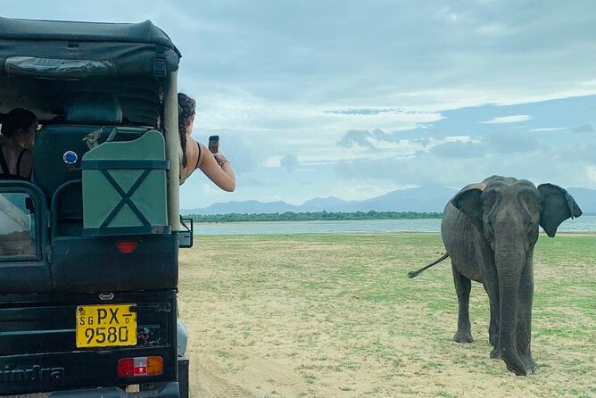 Udawalawe National Park Day trip - Key points at a glance