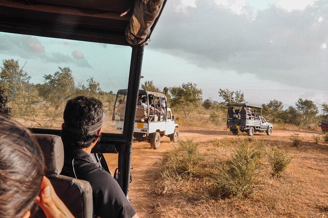 Udawalawe National Park Entrance Ticket with Private Safari - Key points at a glance
