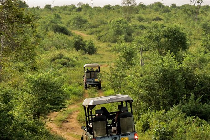 Udawalawe National Park Entrance Ticket with Private Safari - Elephants, crocodiles, buffalo, and birds