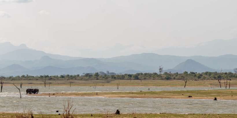 Udawalawe National Park Private Full-Day Safari - Key points at a glance